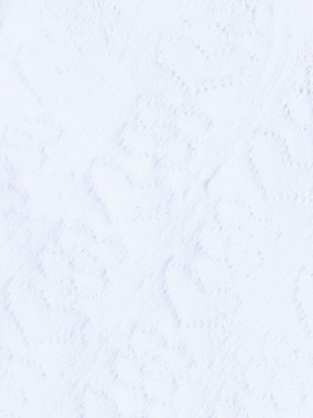 Bas - Image 4