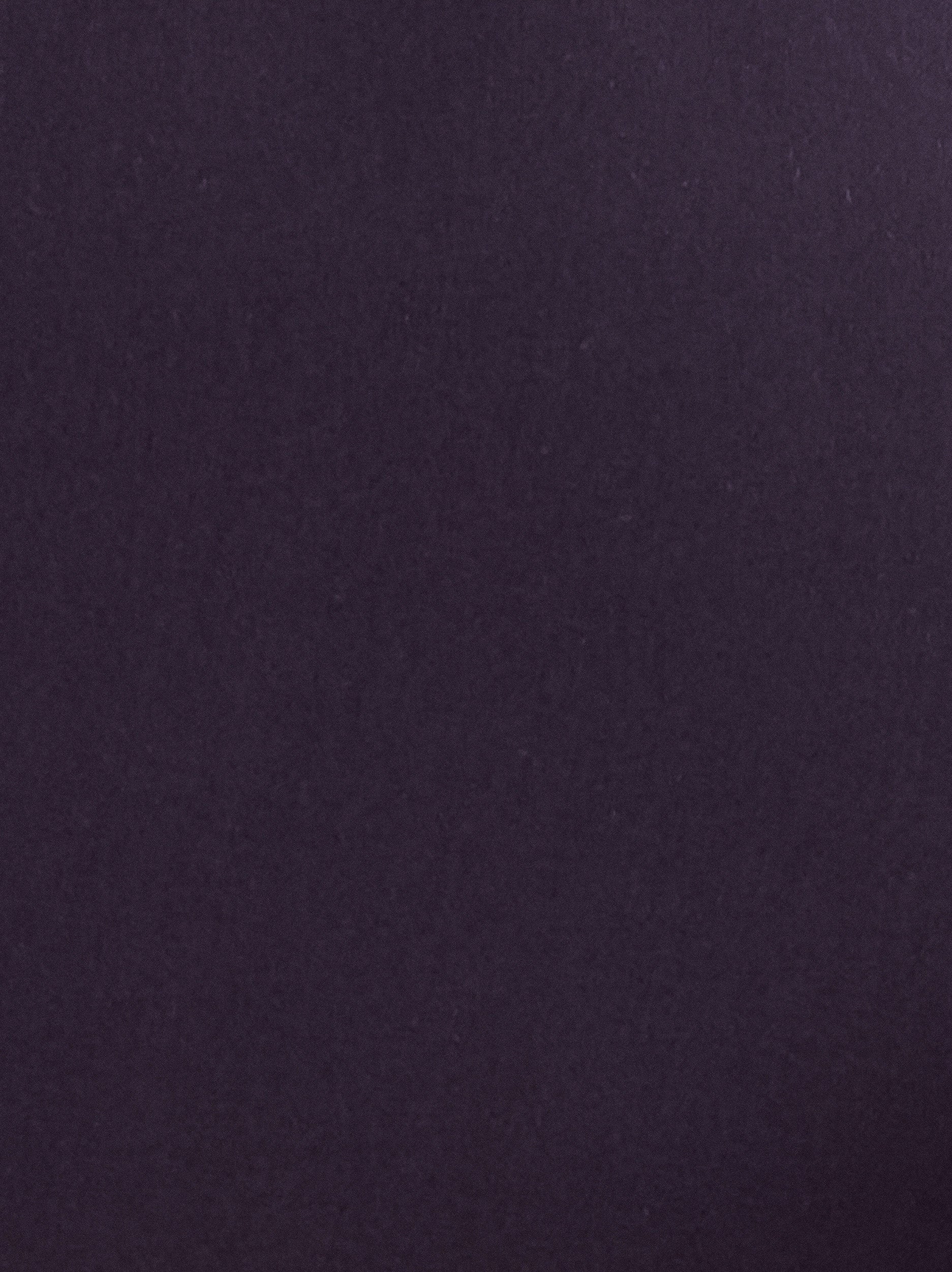 Pantalon habillé droit à enfiler - Petite - Image 20